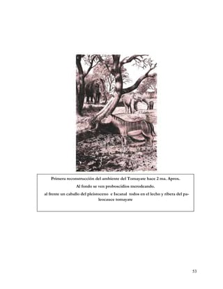 Primera reconstrucción del ambiente del Tomayate hace 2 ma. Aprox.
                 Al fondo se ven proboscidios merodeando.
al frente un caballo del pleistoceno e Iscanal todos en el lecho y ribera del pa-
                                leocauce tomayate




                                                                                    53
 