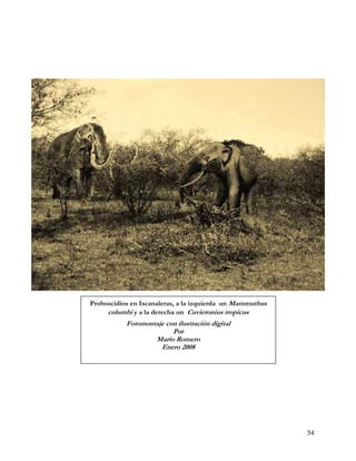Proboscidios en Iscanaleras, a la izquierda un Mammuthus
     columbi y a la derecha un Cuvieronius tropicus
           Fotomontaje con ilustración digital
                         Por
                   Mario Romero
                     Enero 2008




                                                           54
 