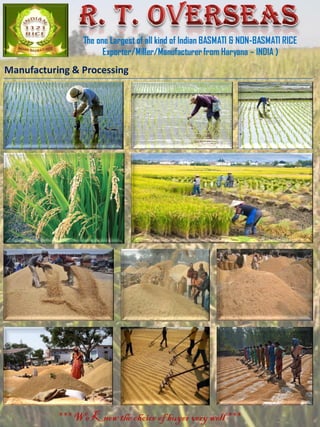 The one Largest of all kind of Indian BASMATI & NON-BASMATI RICE
Exporter/Miller/Manufacturerfrom Haryana – INDIA )
*** We Know the choice of buyer very well ***
Manufacturing & Processing
 