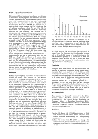 hyoscyamine 
32 
HPLC Analysis of Tropane Alkaloids 
The contents of hyoscyamine and scopolamine were detected 
in the roots of wild type plants, non-transgenic hairy roots 
(without overexpression of pmt and h6h) and transgenic hairy 
roots (with overexpression of pmt and h6h). TAs including 
hyoscyamine and scopolamine could be detected in all the 
tested samples. In analysis of HPLC, the retention time of 
authentic hyoscyamine was about 9.1 (Fig. 3A) min, and that 
of authentic scopolamine about 7.6 min (Fig. 3B). So 
hyoscyamine and scopolamine could be respectively 
separated and then monitored. The retention time of 
hyoscyamine and scopolamine in the sample was consistent 
with authentic alkaloids (Fig. 3C). The total TAs levels in all 
the detected transgenic/non-transgenic hairy root cultures 
were increased. The best transgenic hairy root clone (T3) 
produced 3.21mg/g DW TAs, which was nearly 10 times 
compared with that in the roots of wild type plants (0.09mg/g 
DW hyoscyamine, 0.24 mg/g DW scopolamine and 0.33 
mg/g DW TAs) and 8 times compared with that in 
non-transgenic hairy root cultures (H52) (0.195mg/g DW 
hyoscyamine, 0.198mg/g DW scopolamine and 0.39mg/g 
DW TAs). T3 produced 2.20mg/g DW hyoscyamine at the 
highest level, which was respectively 24 times compared with 
that in wild type roots (0.09mg/g DW hyoscyamine) and 11 
times compared with that in non-transgenic hairy root line 
H52; and 1.00mg/g DW scopolamine at the second highest 
level among transgenic hairy roots. The different transgenic 
hairy root lines demonstrated different TAs-producing ability, 
in which the ration of hyoscyamine and scopolamine was also 
varied. However, all the detected transgenic hairy root lines 
produced more TAs than the non-transgenic hairy root line, 
and this proved that overexpression of pmt and h6h could 
promote biosynthesis of TAs in A. belladonna. 
Discussion 
Pathway-engineering hairy root cultures are not only the ideal 
systems of identify gene functions but the powerful 
bioreactors for producing natural products. In the previous 
reports, transgenic hairy root cultures of A. belladonna had 
been established by overexpressing different genes involved 
in the biosynthetic pathway of TAs. Overexpression of 
tobacco pmt alone in hairy roots of A. belladonna did not 
improve production of TAs including hyoscyamine and 
scopolamine (Rothe et al., 2003); while in the present study, 
overexpression of the same pmt gene and h6h gene in hairy 
roots of A. belladonna improved production of hyoscyamine 
and scopolamine. In 2004, Zhang et al reported that 
overexpression of the same construct (pXI) in hairy roots of 
H. niger greatly increased production of hyoscyamine and 
scopolamine, and found that that transgenic hairy roots 
harboring both pmt and h6h were more efficient than those 
harboring only one of the two genes (Zhang et al., 2004). So, 
it might be concluded that there existed synergism between 
PMT and H6H. When h6h gene was overexpressed alone in 
transgenic plants of A. belladonna, the alkaloid contents of 
the leaf and stem were almost exclusively scopolamine (Yun 
et al., 1992). Unfortunately, the transgenic A. belladonna can 
not meet the standards of Pharmacopoeia of People's 
Republic of China, which makes it a rule of A. belladonna 
producing both hyoscyamine and scopolamine (Zheng. 2005). 
As a result, transgenic A. belladonna with engineered TAs 
pathway should have to produce both hyoscyamine and 
scopolamine. Technically, overexpression of both pmt and 
h6h is the alternative method, which has been proved in the 
present study. For example, transgenic hairy root line T3 and 
3 
2 
1 
0 
scopolamine 
T2 T3 T4 T6 T9 T11 T13 T16 T19 T28 H52 WT 
Fig 4. Contents of TAs in different hairy root lines and in 
roots of wild type A. belladonna plants. T: transgenic hairy 
root lines with overexpression of pmt and h6h; H: 
non-transgenic hairy root lines without expression of pmt and 
h6h; WT: roots of wild type A. belladonna plants 
T13 could produce both hyoscyamine and scopolamine at 
higher levels. So, the double-gene transformation strategy 
will be the preferable strategy of metabolic engineering the 
TAs biosynthetic pathway in A. belladonna to meet the 
markets of China. Actually, this kind of strategy has been 
applied to develop transgenic A. belladonna plants with 
higher-level TAs in our laboratory. 
Conclusion 
Transgenic hairy root cultures are the ideal systems for 
research on metabolic engineering. In the present study, 
transgenic hairy root cultures of A. belladonna with 
overexpression of pmt and h6h were established. Transgenic 
hairy root cultures demonstrated increased production of TAs. 
In the present study, the double-gene transformation strategy 
of overexpressing pmt and h6h was successfully employed to 
genetically modify the TAs biosynthetic pathway in A. 
belladonna for the first time, and that will facilitate 
development of transgenic A. belladonna plants based on this 
kind of strategy. Finally, transgenic hairy root cultures of A. 
belladonna obtained in the present study can be used as 
bioreactor to produce hyoscyamine and scopolamine. 
Acknowledgement 
This research was financially supported by the China 
National “863” High-Tech program (Project No. 
2010AA100503), the Natural Science Foundation of 
Chongqing Science  Technology Commission (2009- 
BB5309), the Fundamental Research Funds for the Central 
Universities (XDJK2010C087) and “Excellent Scientists of 
Universities in Chongqing City”. 
References 
Carvalho EB, Curtis WR (1998) Characterization of fluid 
flow resistance in root cultures with a convective flow 
tubular bioreactor. Biotechnology and Bioengineering 
60:375-384. 
Dechaux C, Boitel-Conti M (2005) A strategy for 
overaccumulation of scopolamine in Datura innoxia hairy 
root culture. Acta Biologica Coviensia Series Botanica 47: 
101-107 
 