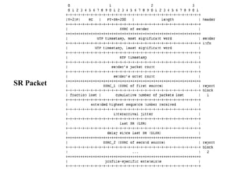 SR Packet
 