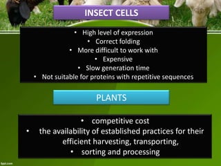 INSECT CELLS
• High level of expression
• Correct folding
• More difficult to work with
• Expensive
• Slow generation time
• Not suitable for proteins with repetitive sequences

PLANTS
•

• competitive cost
the availability of established practices for their
efficient harvesting, transporting,
• sorting and processing

 