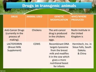 Drugs in transgenic animals
DRUG

ANIMAL USED

Anti-Cancer Drugs
(currently in the
process of
making).

Chickens

LACTOFERRIN
(Breast Milk
Supplement)

COWS

GENETIC
MODIFICIATION

The anti-cancer
drug is produced
in the chickens
eggs.
Recombinant DNA
targets lysosome
from the breast
milk and modifies
it in the cow which
gives a more
nutritional boost
for infants

WHO/WHERE
PRODUCED

Roslin Institute in
the United
Kingdom is
Hermitech, Inc. in
Sioux Falls, South
Dakota.
& China

 