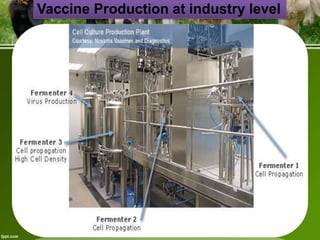 Vaccine Production at industry level

to respond to a human influenza pandemic.

• to respond to a human influenza pandemic.
•

 
