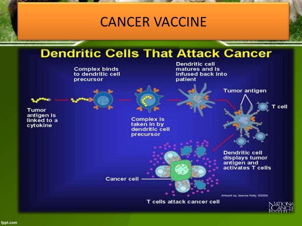 therapeutic proteins