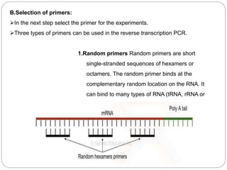 B.Selection of primers:
In the next step select the primer for the experiments.
Three types of primers can be used in the reverse transcription PCR.
1.Random primers Random primers are short
single-stranded sequences of hexamers or
octamers. The random primer binds at the
complementary random location on the RNA. It
can bind to many types of RNA (tRNA, rRNA or
mRNA) and synthesizes the cDNA.
 