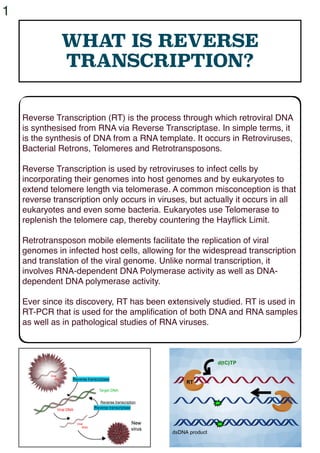 Virus Rna Reverse Transcriptase RTPCRpresentationAmanNanavatySlideShow.pdf