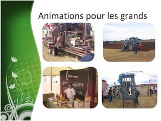 Animations pour les grands 