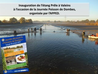 Inauguration de l’étang Prêle à Valeins
à l’occasion de la Journée Poisson de Dombes,
organisée par l’APPED.
 