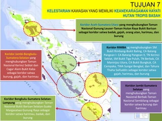 TUJUAN 7
KELESTARIAN KAWASAN YANG MEMILIKI KEANEKARAGAMAN HAYATI
HUTAN TROPIS BASAH
Koridor Aceh-Sumatera Utara yang menghubungkan Taman
Nasional Gunung Leuser-Taman Hutan Raya Bukit Barisan
sebagai koridor satwa badak, gajah, orang utan, harimau, dan
burung
Koridor RIMBA yg menghubungkan SM
Bukit Rimbang-Bukit Baling, CA Batang
Pangean I- CA Batang Pangean II, TN Kerinci
Seblat, SM Bukit Tiga Puluh, TN Berbak, CA
Maninjau Utara, CA Bukit Bungkuk, CA
Cempaka, TWA Sungai Bengkal, dan Tahura
Thaha Saifuddin sebagai koridor satwa
gajah, harimau, dan burung
Koridor Jambi-Bengkulu-
Sumatera Selatan yang
menghubungkan Taman
Nasional Kerinci Seblat dan
Cagar Alam Bukit Kaba
sebagai koridor satwa
burung, gajah, dan harimau
Koridor Jambi-Sumatera
Selatan yang
menghubungkan Taman
Nasional Berbak-Taman
Nasional Sembilang sebagai
koridor satwa burung dan
harimau
Koridor Bengkulu-Sumatera Selatan-
Lampung yang menghubungkan Taman
Nasional Bukit Barisan Selatan-Suaka
Margasatwa Gunung Raya sebagai
koridor satwa harimau, badak, dan
burung
 