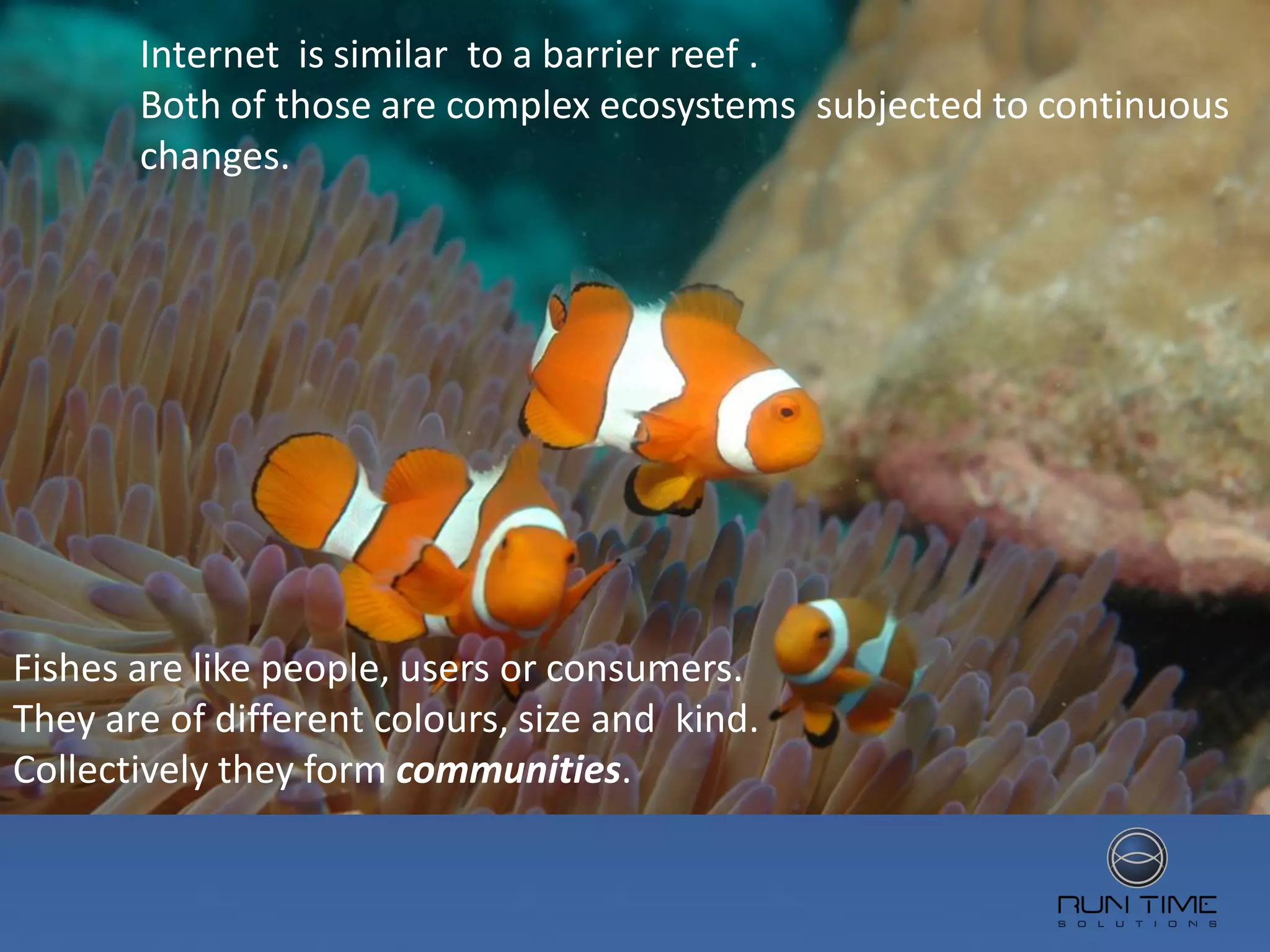 Internet is similar to a barrier reef .
       Both of those are complex ecosystems subjected to continuous
       changes.




Fishes are like people, users or consumers.
They are of different colours, size and kind.
Collectively they form communities.
 