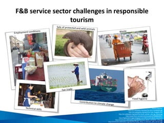 What does responsible F&B operation mean?
•Practice low energy use
•Be water wise
•Minimise kitchen waste
Manage
resources more
efficiently
•Source sustainable F&B products
•Use local and seasonal produce
•Follow Fair Trade principles
•Promote nutrition and health
Source good
food
responsibly
•Practice good food hygiene
•Engage with the community
•Provide a safe and secure environment
Look after
customers and
the community
 