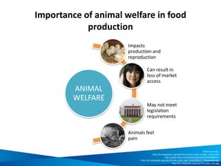 D) Supporting Fair Trade
• A trading partnership based on dialogue,
transparency and respect
• Contributes to sustainable development
by offering better trading conditions and
securing the rights of producers and
workers
• Fair Trade organisations actively support
producers, raise awareness and campaign
for changes in the rules and practice of
conventional international trade
 