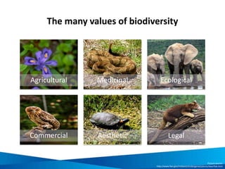 Principles for recognising Fair Trade
organisations
Create opportunities
for economically &
socially marginalized
producers
Develop transparent
& accountable
relationships
Build capacity
Promote fair trade Pay promptly & fairly
Support safe &
empowering working
conditions
Ensure the rights of
children
Cultivate
environmental
stewardship
Respect cultural
identity
Source: Fair Trade Resource Network 2013, ‘Overview of Fair Trade in N. America’, Fair Trade Resource
Network, Available [online]: http://www.fairtraderesource.org/wp/wp-content/uploads/2007/09/Overview-of-
Fair-Trade-in-N-America-vSeptember2013.pdf, Downloaded: 30/01/2014
 
