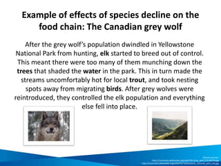 The benefits of Fair Trade
• Helps correct international trade imbalance
• Helps provide greater stability in pricing to
protect farmers
• Ensures benefits passed onto producers
while the suppliers still can get their benefits
• Ensures poor farmers have better working
conditions
 