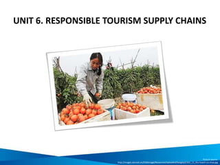 UNIT 6. RESPONSIBLE TOURISM SUPPLY CHAINS
Picture source:
http://images.danviet.vn/CMSImage/Resources/Uploaded/baogiay2/261_11_thu-hoach-ca-chua.jpg
 