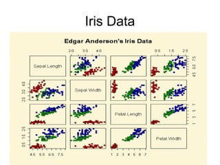 Iris Data
 