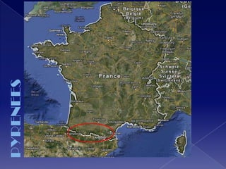PYRENEES
 