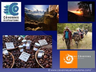 © www.cevennes-ecotourisme.com/
 