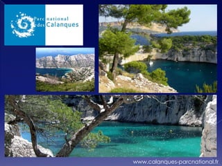 www.calanques-parcnational.fr
 