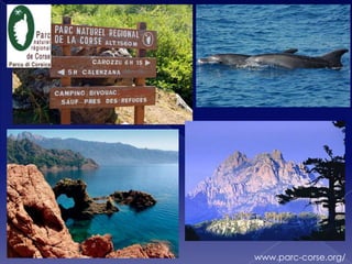 www.parc-corse.org/
 