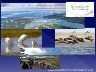 www.baiedesomme-zerocarbone.org/
 