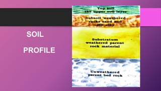 SOIL
PROFILE
 