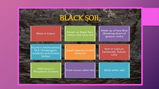 Class 10 chapter_1_resource_and_development_ppt