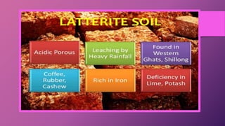 Class 10 chapter_1_resource_and_development_ppt