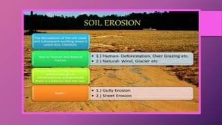 Class 10 chapter_1_resource_and_development_ppt