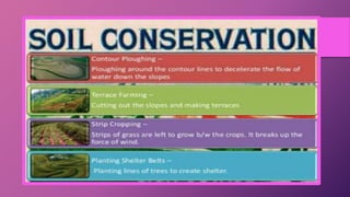 Class 10 chapter_1_resource_and_development_ppt