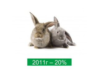 2011г – 20%

 