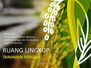 RUANG LINGKUP
TANAMAN PANGAN
Materi Ajar
Konsentrasi Keahlian Agribisnis
tanaman pangan dan hortikultura
Fase F (XI dan XII)
 