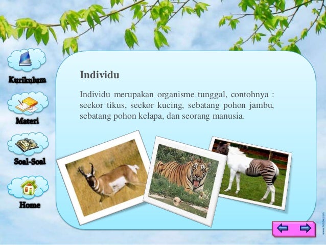 Ruang lingkup biologi