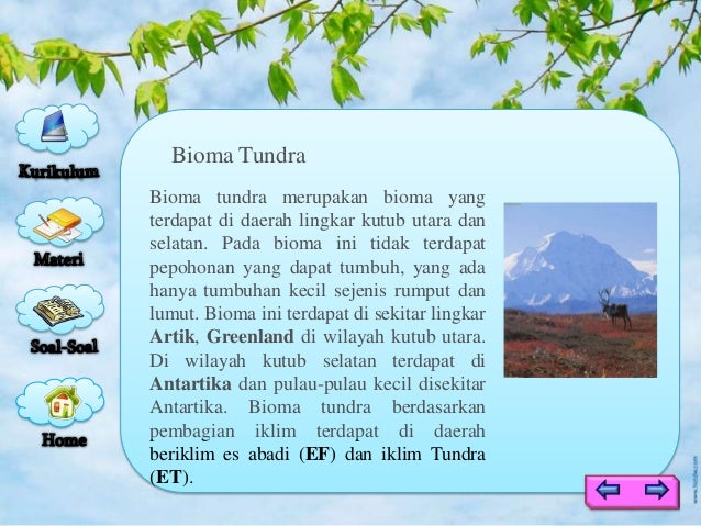 Ruang lingkup biologi