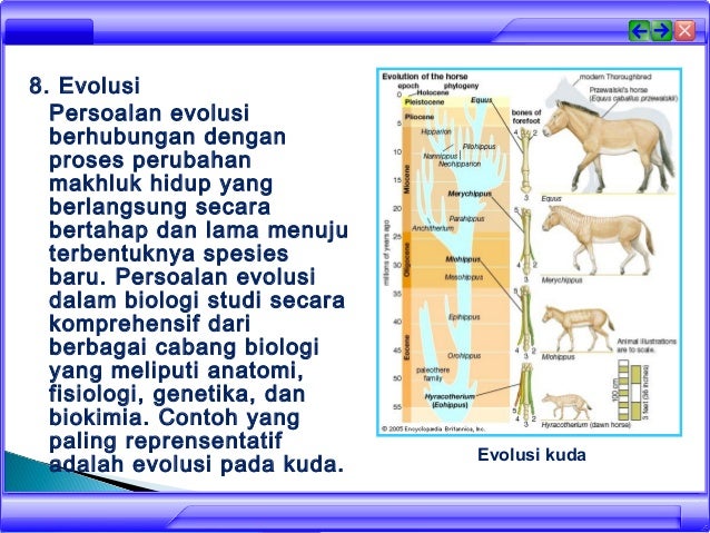 Ruang lingkup biologi