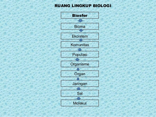 Ruang lingkup biologi