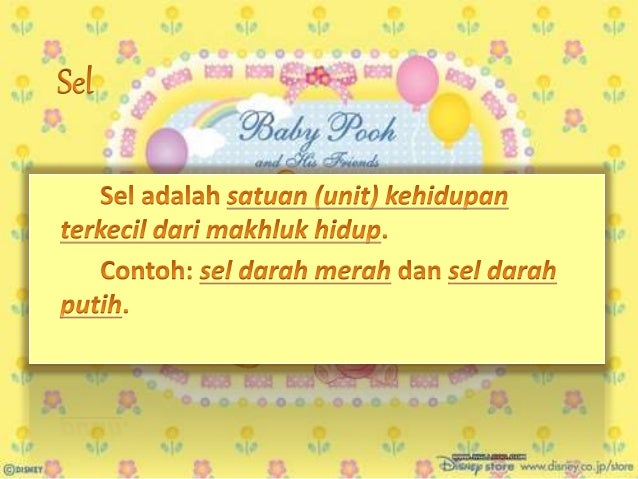 Ruang Lingkup Biologi - Biologi Kelas X Semester 1