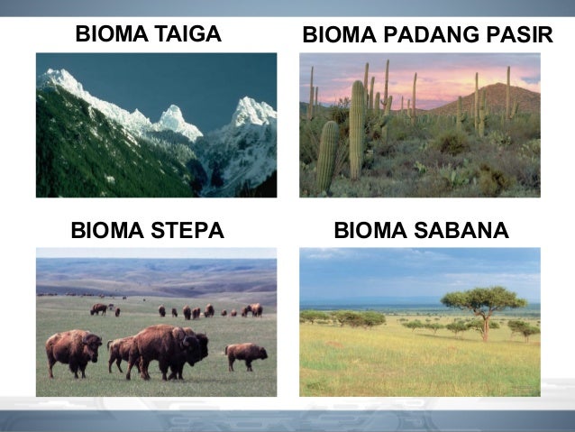 Ruang lingkup biologi