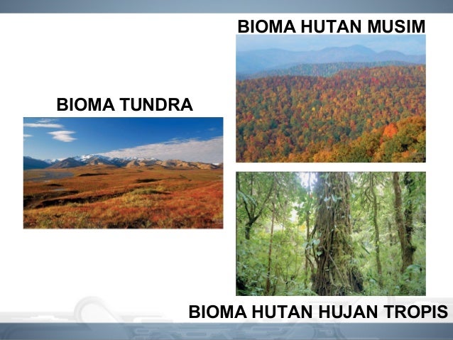 Ruang lingkup biologi Ruang lingkup biologi