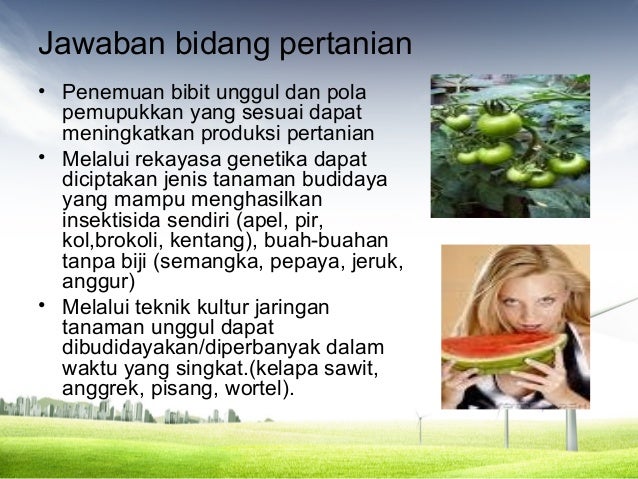 contoh fenomena dalam biologi Ruang lingkup biologi contoh fenomena dalam biologi Ruang lingkup biologi