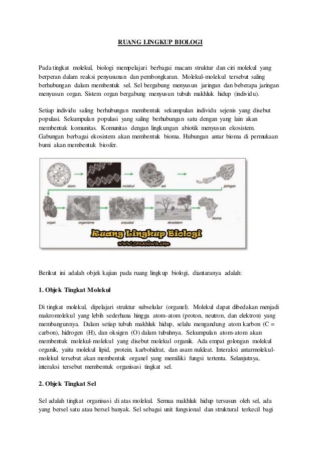 Ruang Lingkup Biologi