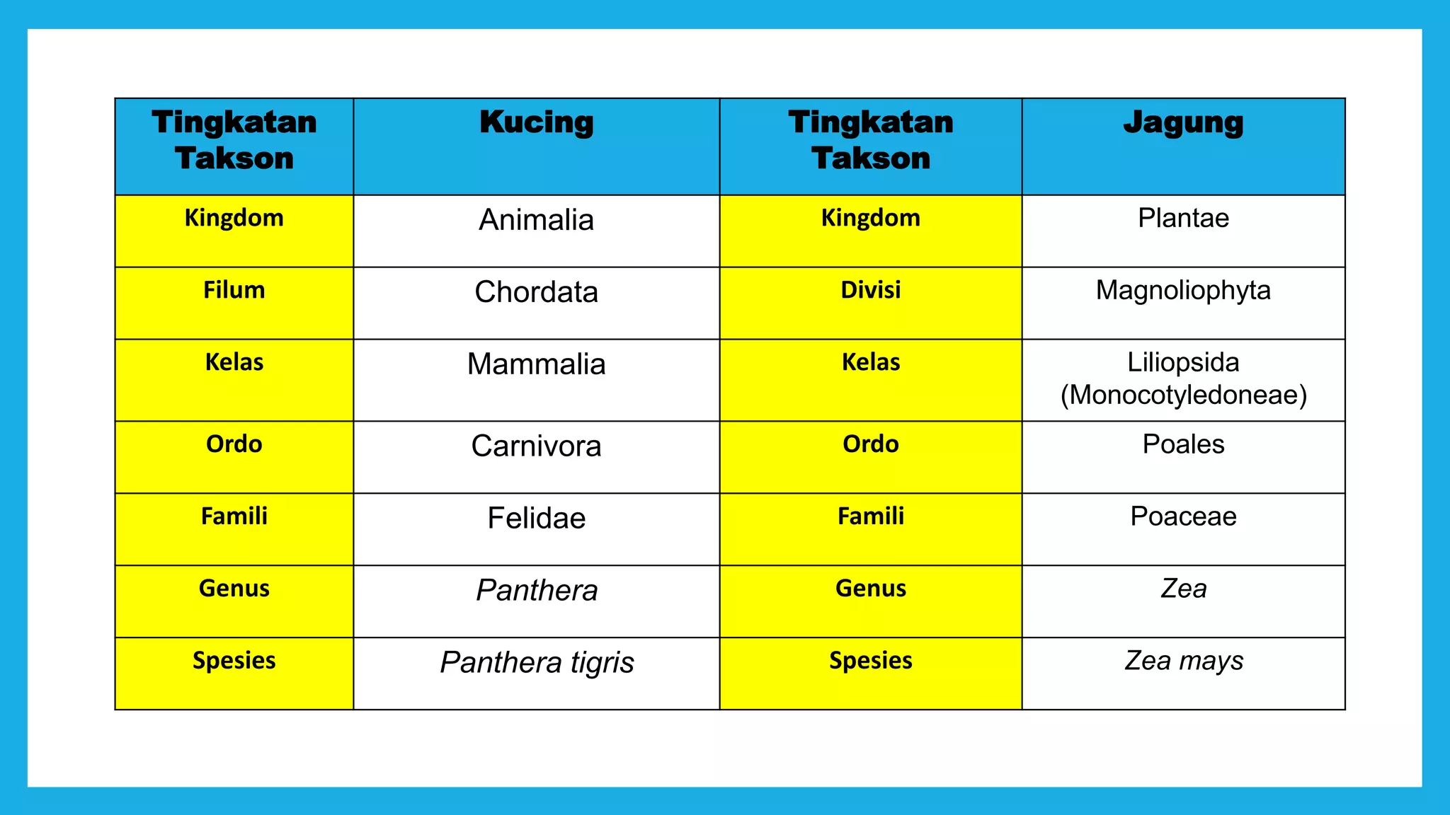Ruang lingkup biologi | PPTX