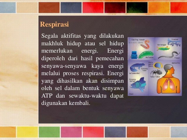 Ruang lingkup biologi