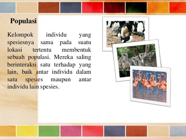 Ruang lingkup biologi