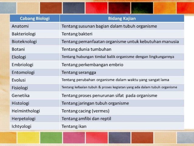 Ruang Lingkup Biologi