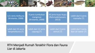 RTH Menjadi Rumah Terakhir Flora dan Fauna
Liar di Jakarta
121 Jenis Avifauna
(Kristanto, 2008)
9 jenis tumbuhan
mangrove
(Kristanto, 2008)
43 jenis kupu-kupu
(Rahmadetiassani,
2013)
Lebih dari 6 jenis
mamalia (?)
Lebih dari 31 jenis
herpetofauna (?)
Lebih dari 12 jenis
capung (?)
Lebih dari 3 jenis
semut (?)
Lebih dari 5 jenis
ikan air tawar (?)
 