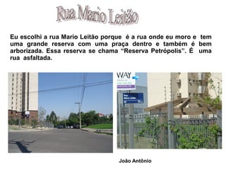 Eu escolhi a rua Mario Leitão porque é a rua onde eu moro e tem
uma grande reserva com uma praça dentro e também é bem
arborizada. Essa reserva se chama “Reserva Petrópolis”. É uma
rua asfaltada.




                                  João Antônio
 