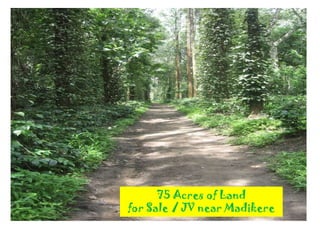 75 Acres of Land for Sale / JV near Madikere 