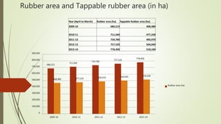 Rubber area and Tappable rubber area (in ha)
686,515
711,560
734,780
757,520
778,400
468,480 477,230 490,970 504,040 518,100
0
100,000
200,000
300,000
400,000
500,000
600,000
700,000
800,000
900,000
2009-10 2010-11 2011-12 2012-13 2013-14
Rubber area (ha)
Year (April to March) Rubber area (ha) Tappable Rubber area (ha)
2009-10 686,515 468,480
2010-11 711,560 477,230
2011-12 734,780 490,970
2012-13 757,520 504,040
2013-14 778,400 518,100
 